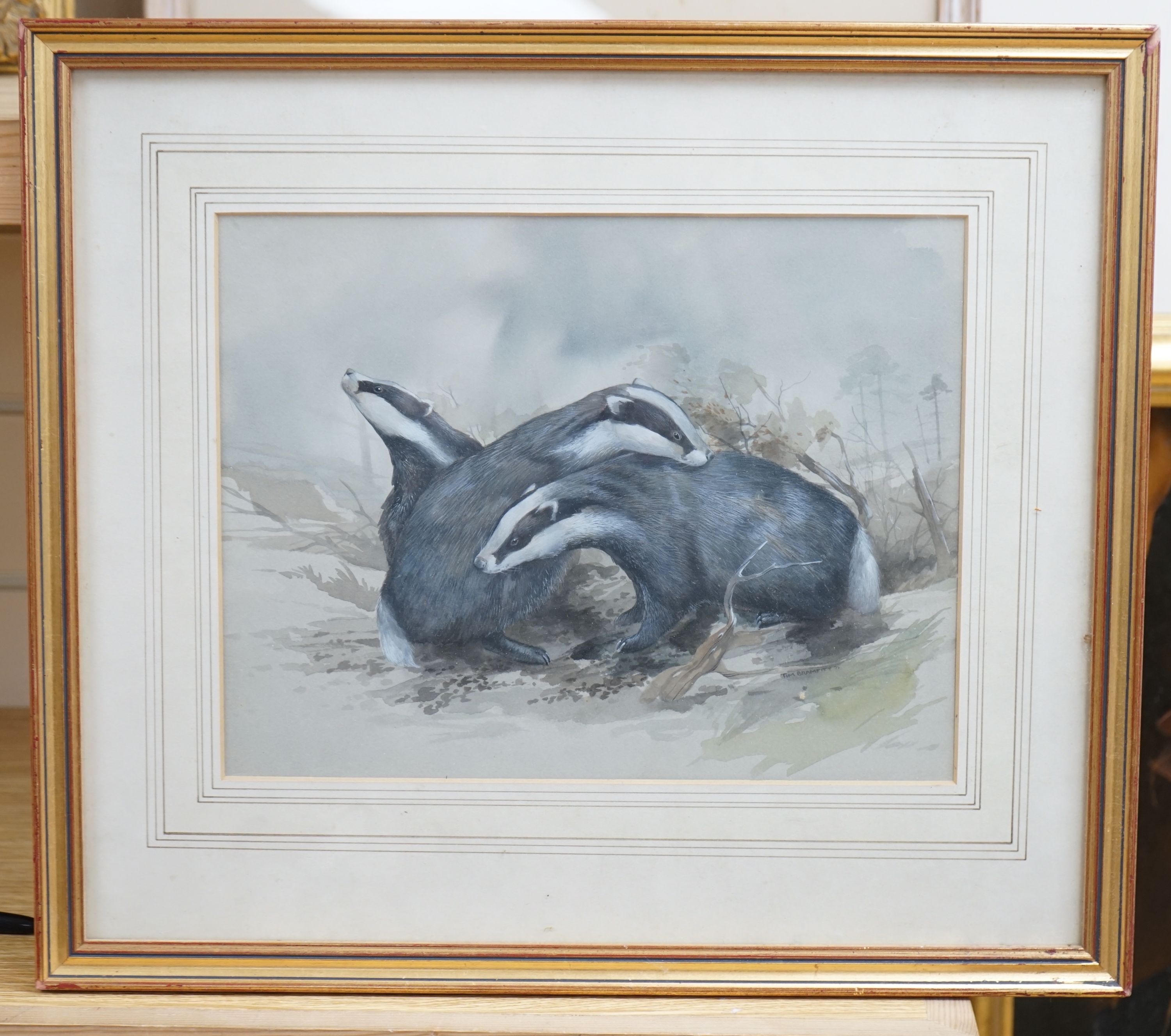 Tim Bramfitt, watercolour, Badgers, illustration for The Domesday Book of Animals, signed, 23 x 30cm